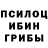 Псилоцибиновые грибы прущие грибы Atsu Mimoro