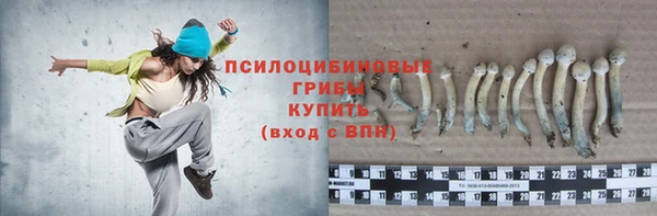 альфа пвп Бородино
