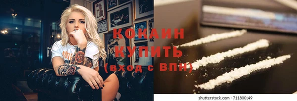 индика Богородск