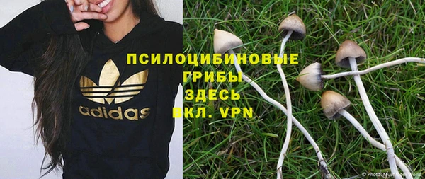 гашик Бугульма