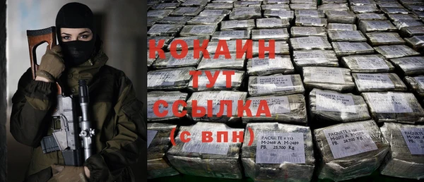 индика Богородск