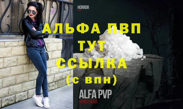 индика Богородск