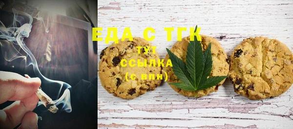 индика Богородск