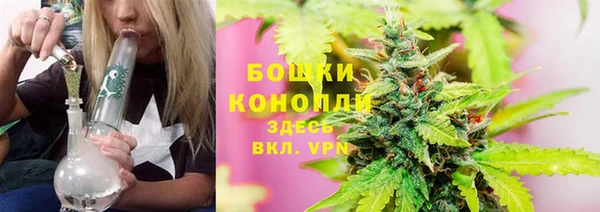 альфа пвп Бородино