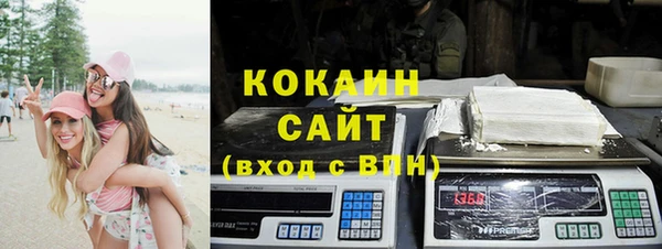 индика Богородск