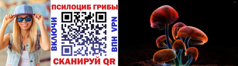 Галлюциногенные грибы GOLDEN TEACHER Ейск