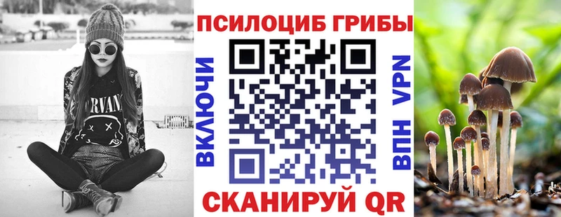 Галлюциногенные грибы Psilocybine cubensis  Ейск 