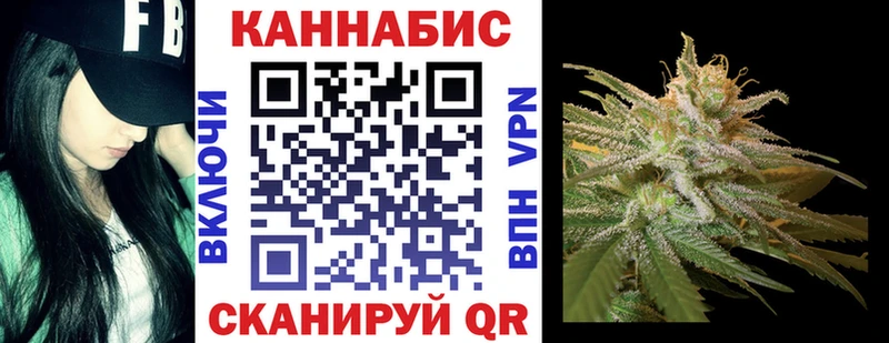 сколько стоит Ейск Бошки Шишки семена